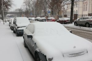 Zima