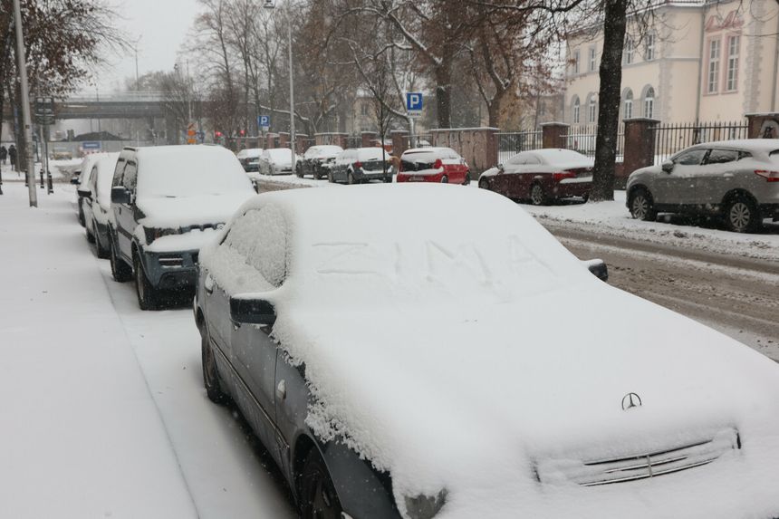 Zima