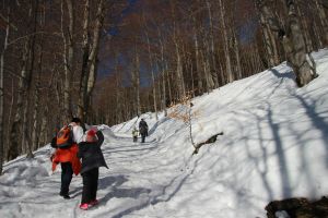 turyści na ośnieżonym szlaku