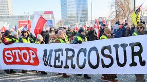 Mercosur