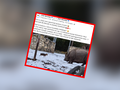 ZOO Wrocław