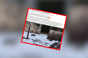 ZOO Wrocław