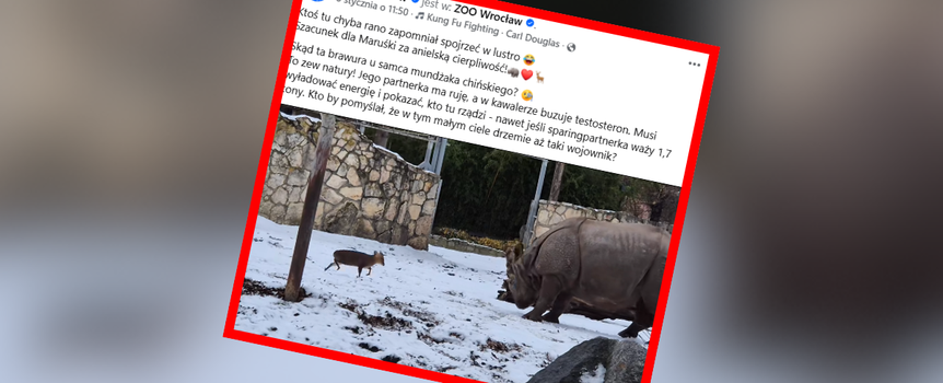 ZOO Wrocław