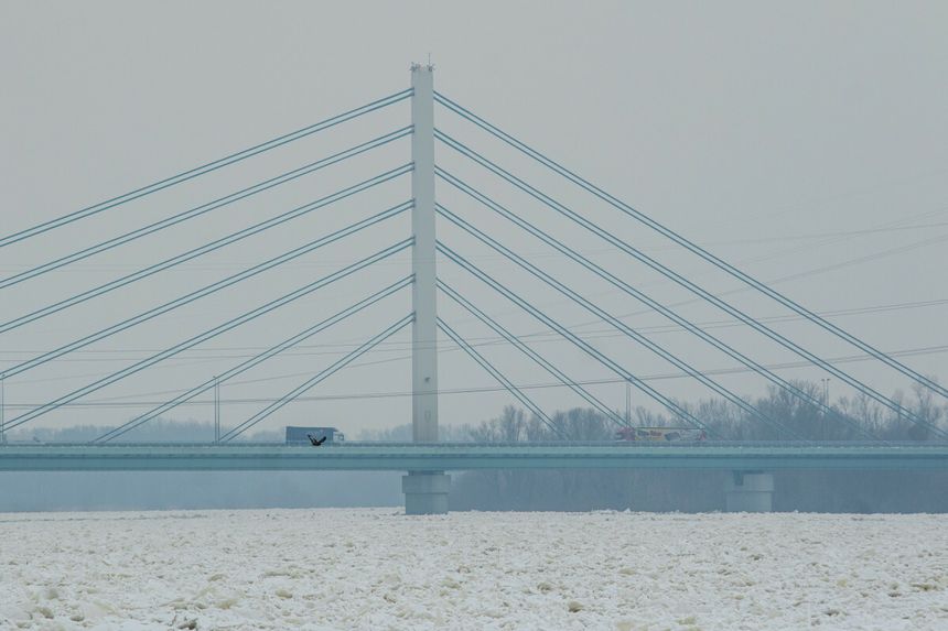 główne przęsło Mostu Solidarności