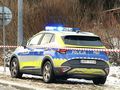 policja