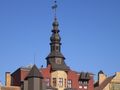 Murowana Goślina