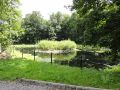 Jaworze