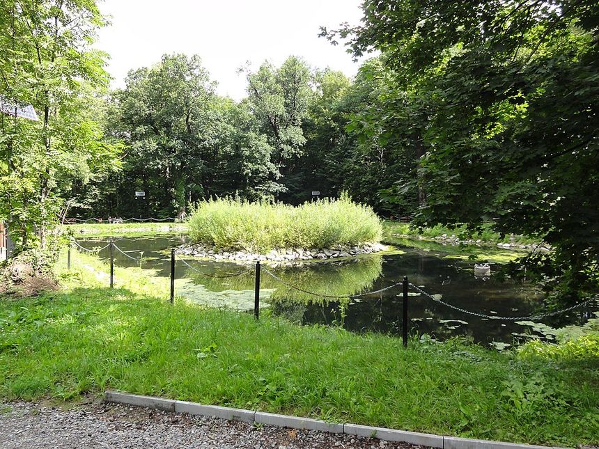 Jaworze