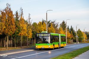 Autobus MAN NG313 w Poznaniu