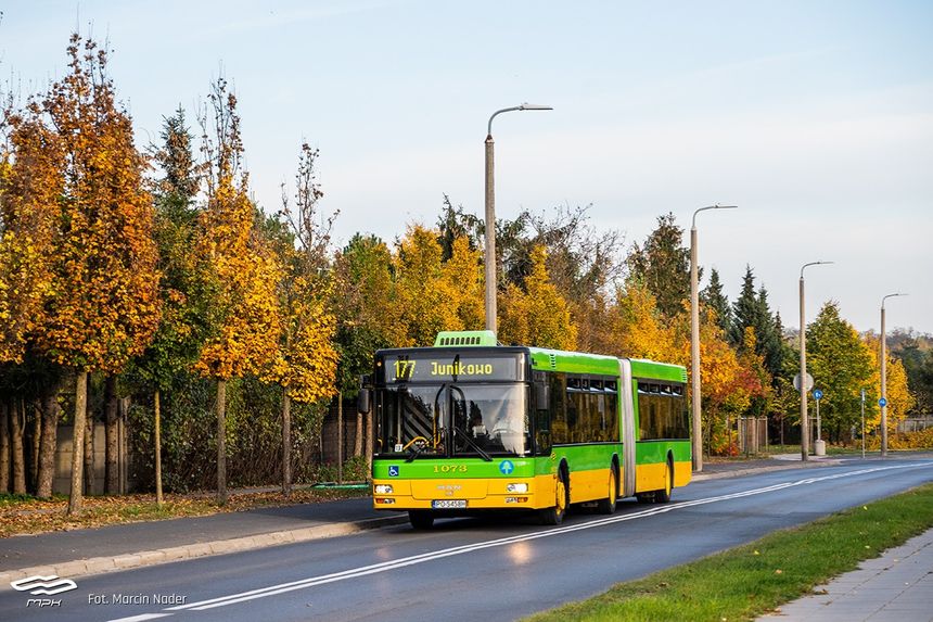 Autobus MAN NG313 w Poznaniu