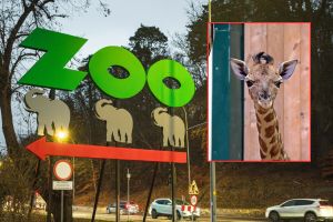 Zoo Gdańsk