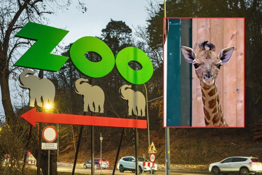 Zoo Gdańsk
