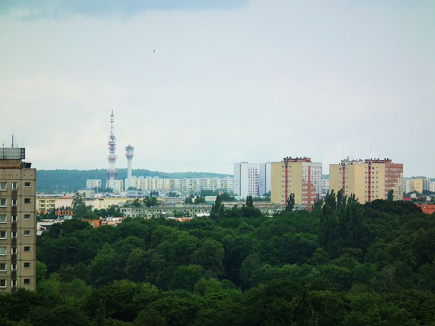 Góra Moraska widoczna z Winograd w Poznaniu
