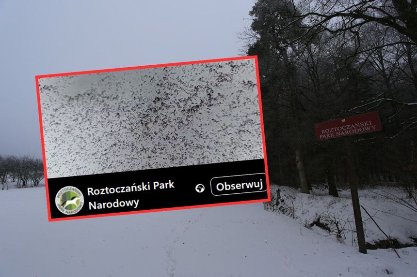 Roztoczański Park Narodowy 