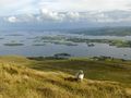 Irlandia