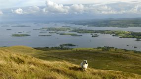 Irlandia