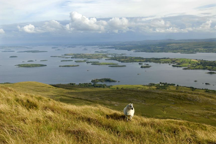 Irlandia