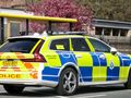 policja