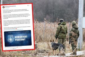 Straż Graniczna. Wpis DORSZ