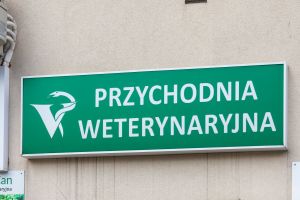 Weterynarz
