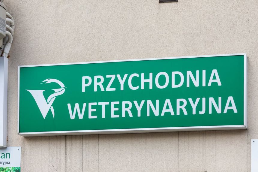 Weterynarz
