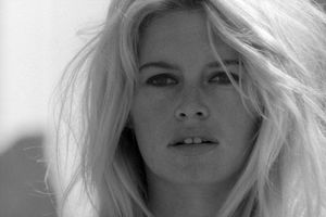 Brigitte bardot