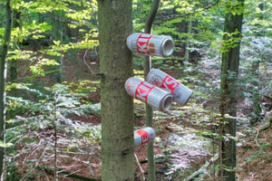 Nadleśnictwo Cisna - taki widok zastali leśnicy