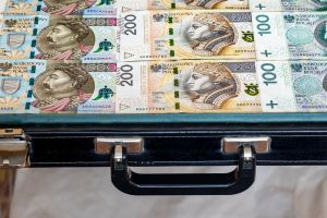 Walizka pieniedzy