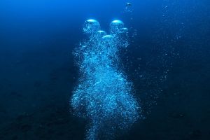 Ocean