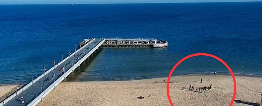Plaża w Kołobrzegu