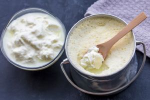 Duński zespół badaczy użył mrówek do fermentacji mleka