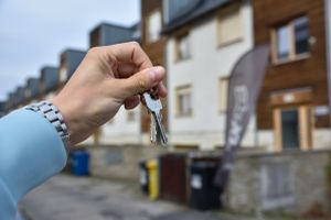 Mieszkania na wynajem 