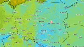 pogoda