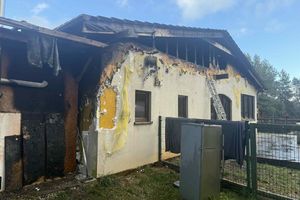 Centrum Pomocy Zwierzętom Buba