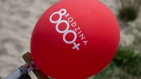 800 plus