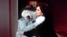 “The Shaggy Dog”