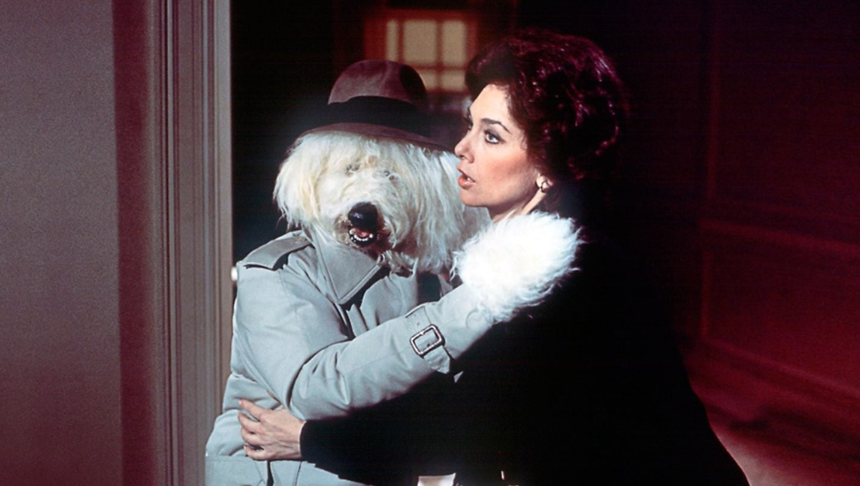 “The Shaggy Dog”