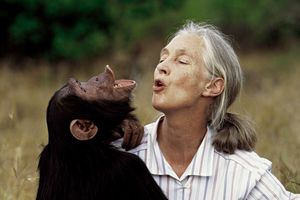 Jane Goodall