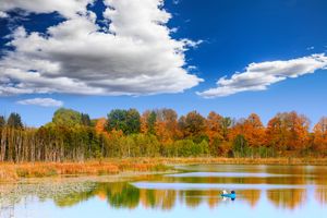 Mazury 