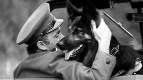 W PRL tego psa znał każdy Polak, miał własny serial. To przykre, w jaki sposób zmarł