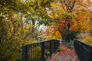 Park Wilsona w Poznaniu