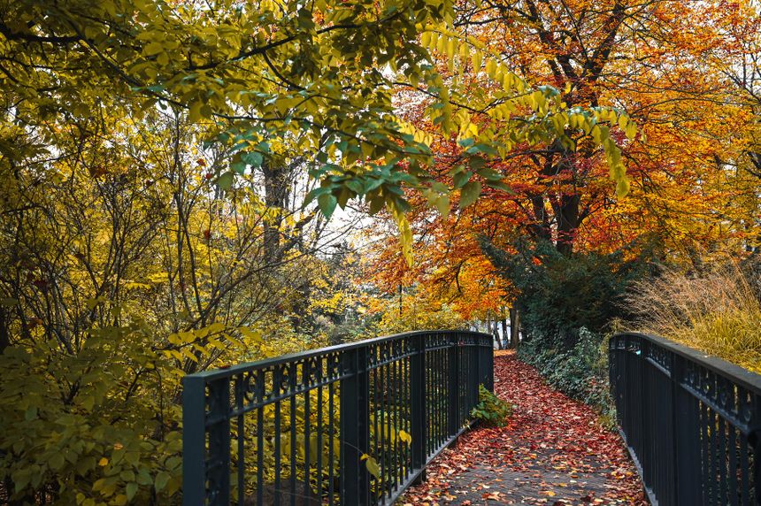 Park Wilsona w Poznaniu