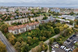 Szczecin, walka z rdestowcem