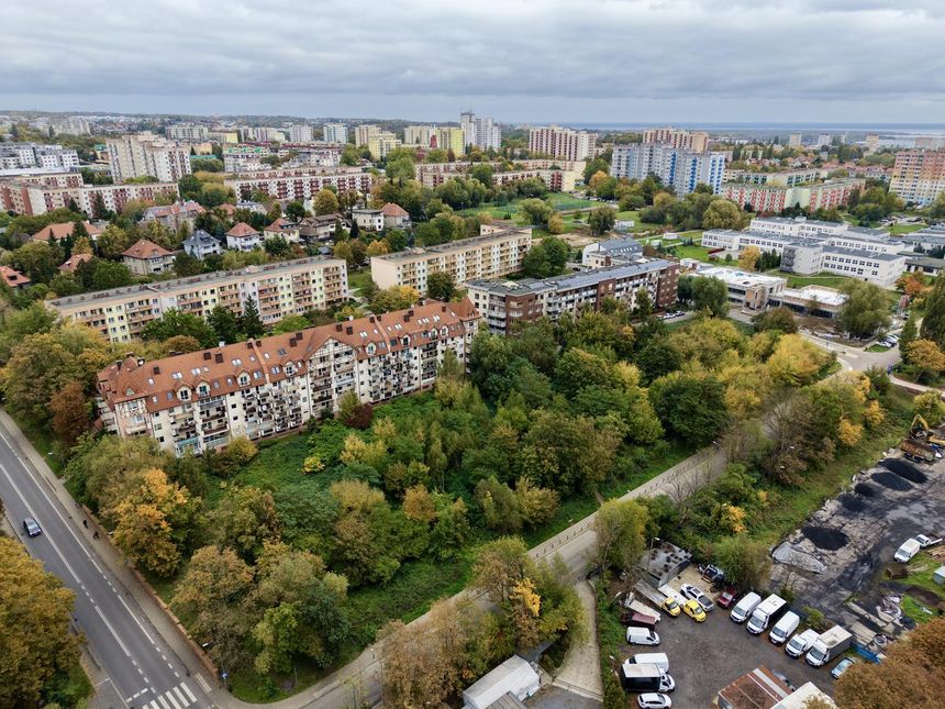 Szczecin, walka z rdestowcem