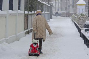 seniorka ciągnie zakupy