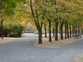 Park w Poznaniu