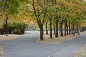 Park w Poznaniu