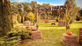Dyniowa Farma Wrocław