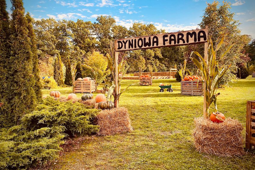Dyniowa Farma Wrocław