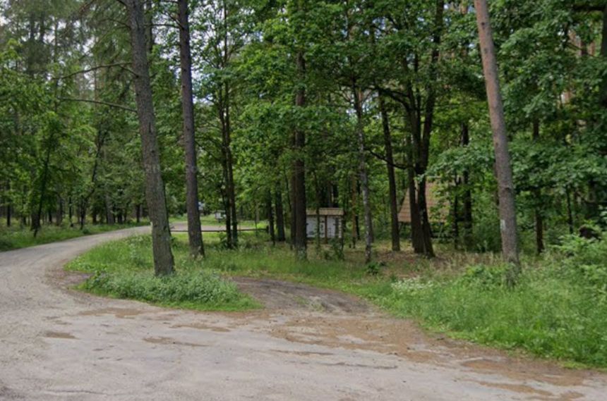 Rezerwat przyrody